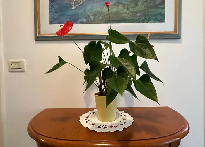 Διαμέρισμα Golden Creek Magic View