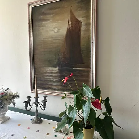 Golden Creek Magic View *